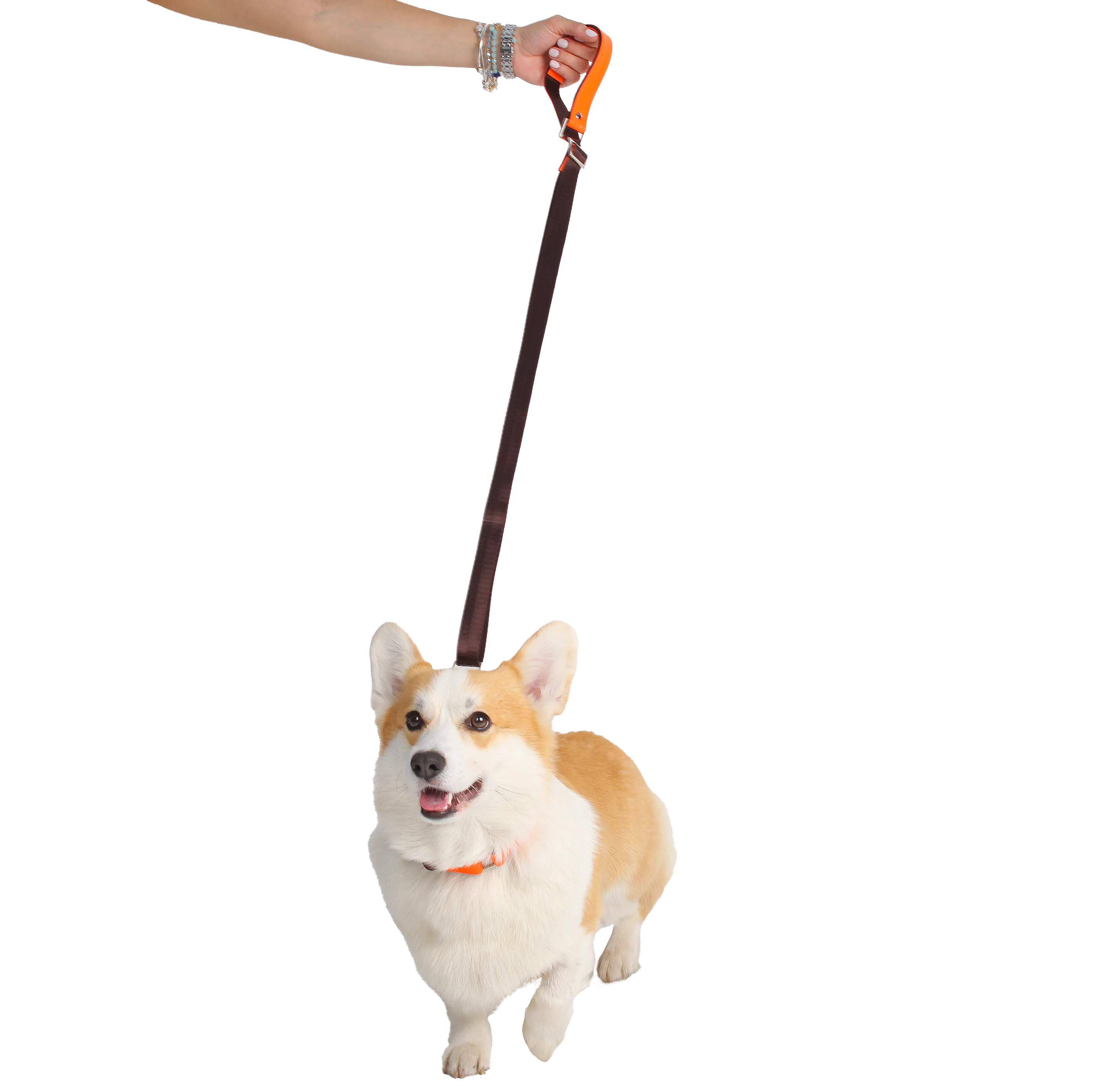 Pets & Personalized Accessories