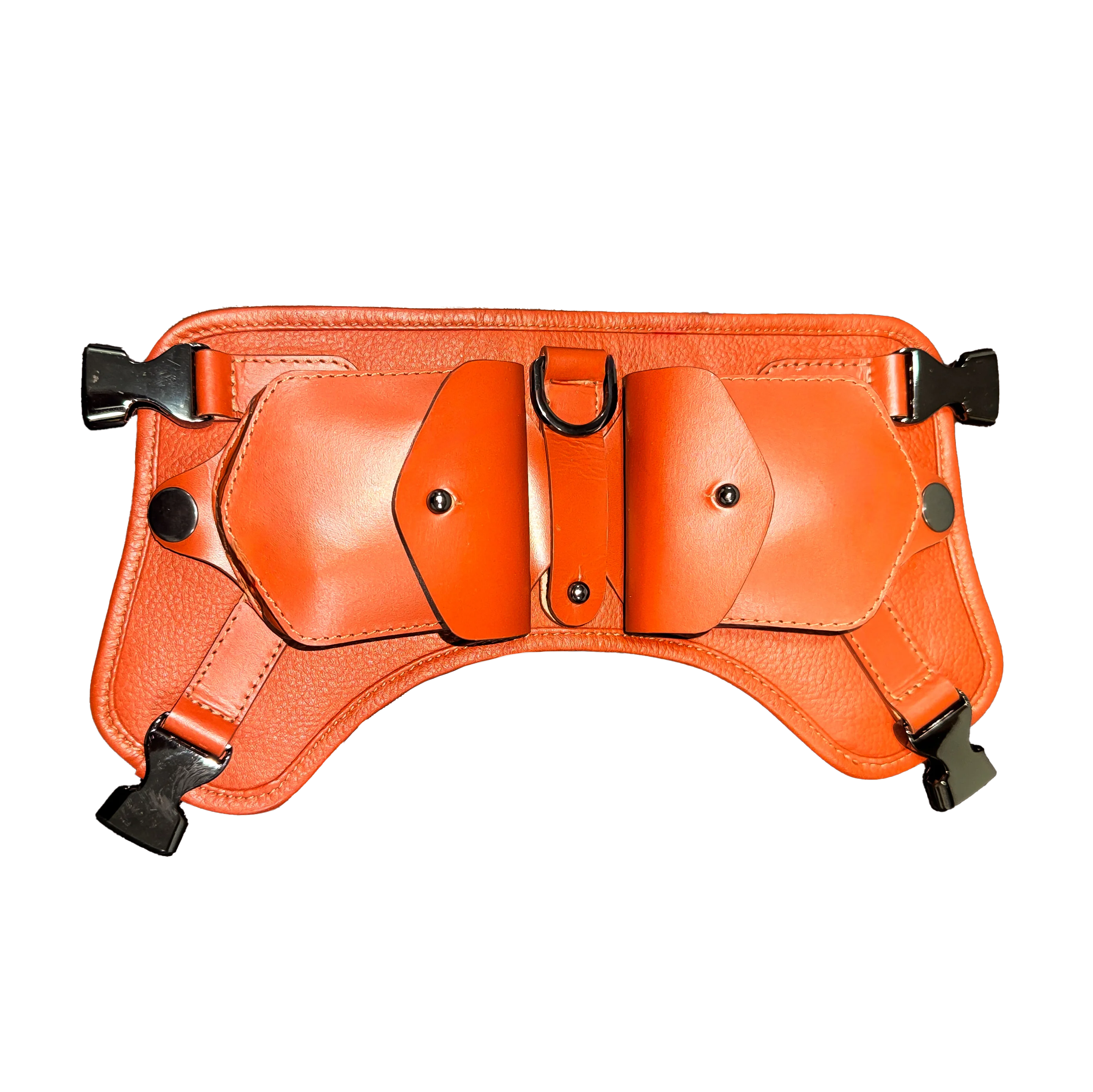 Single-Tone Pet Harness